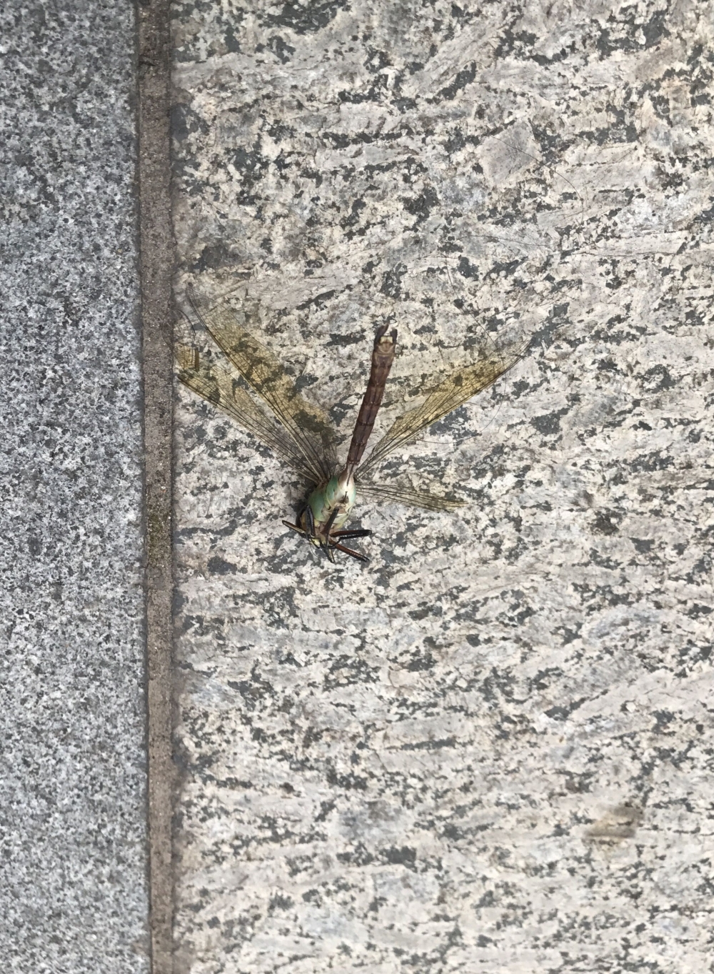 LQ FUJIFILM LQ FUJIFILM