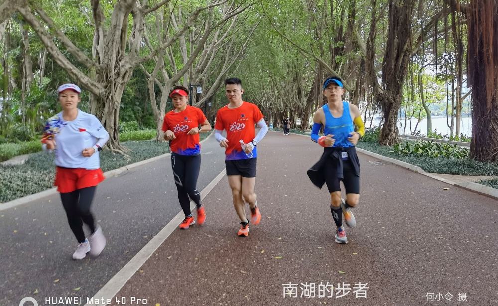 步行者vs国王直播