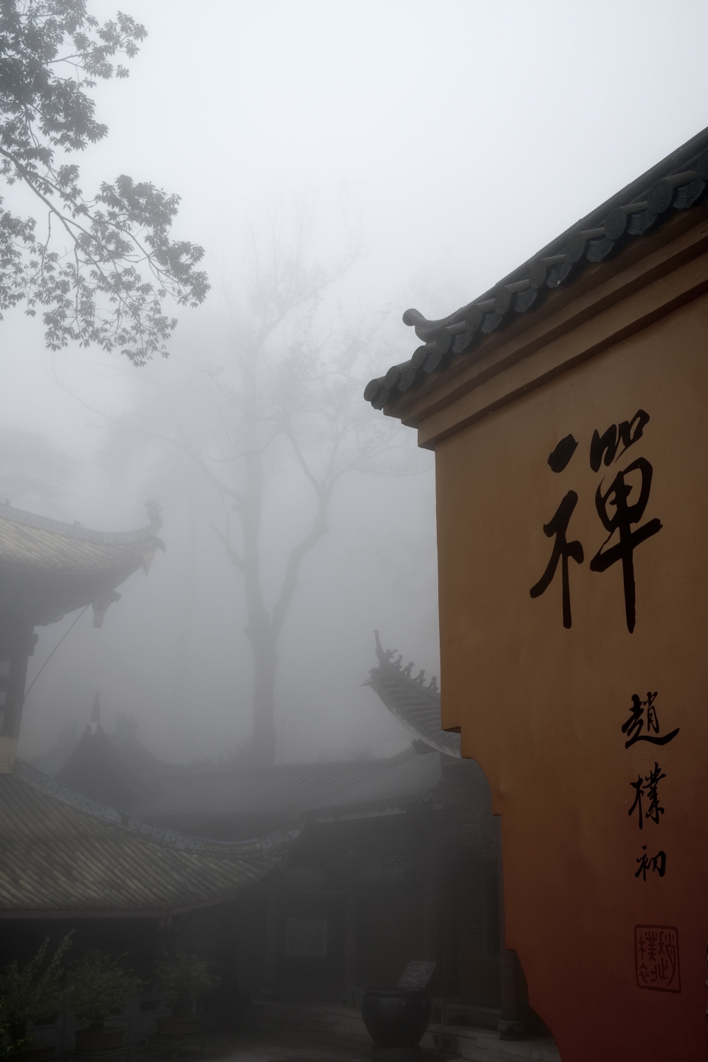 佛门净地 - 李洪涛 - 富士(中国)极致影像- FUJIFILM