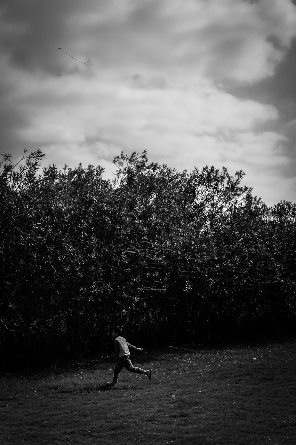 9Z2 FUJIFILM 9z2-fujifilm