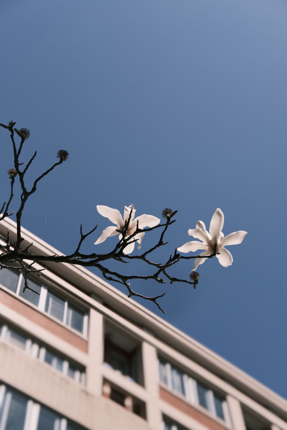 春日呢喃 To be. 富士胶片影赛 FUJIFILM