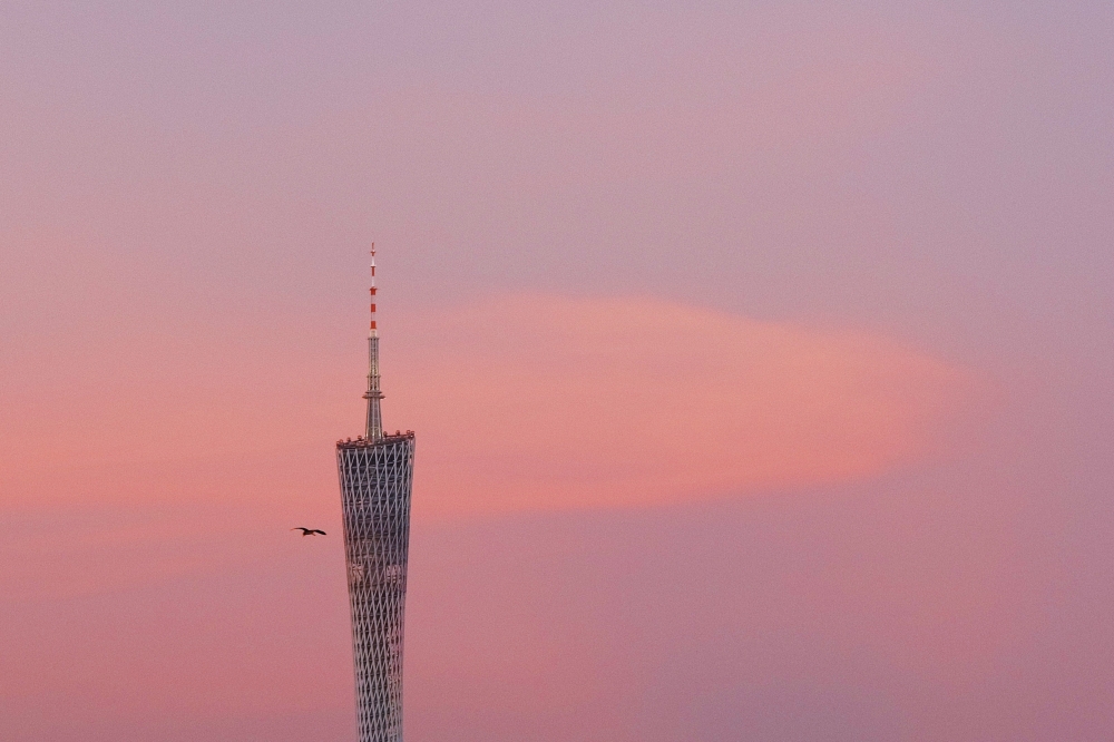 Momo MpQ FUJIFILM momo-mpq-fujifilm