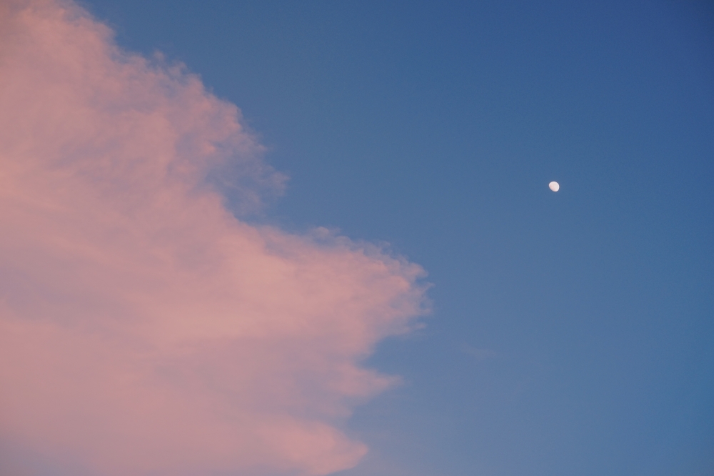 Momo MpQ FUJIFILM momo-mpq-fujifilm