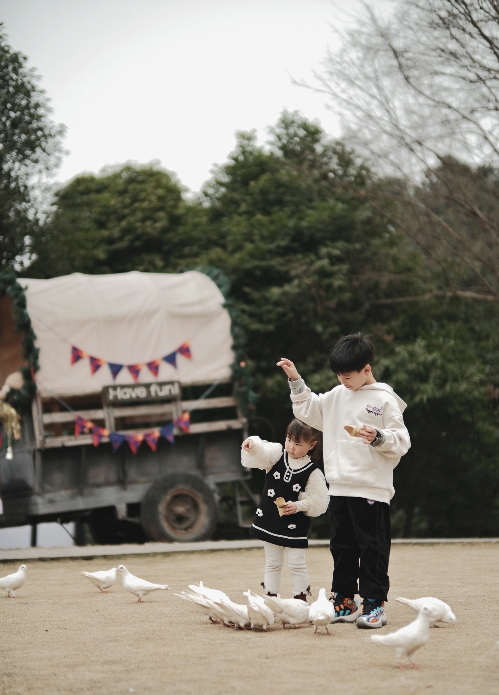 FUJIFILM