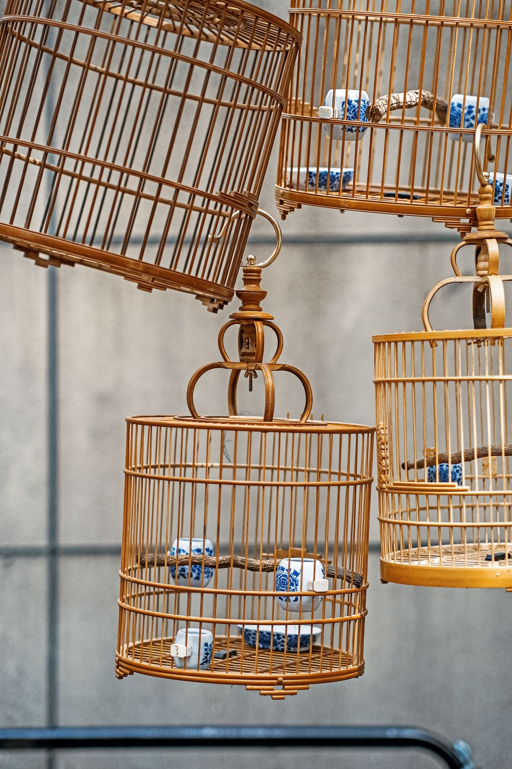 XZ FUJIFILM xz-fujifilm